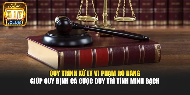 Quy trình xử lý vi phạm rõ ràng giúp quy định cá cược duy trì tính minh bạch